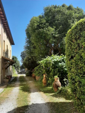 Antica Fattoria La Verdina